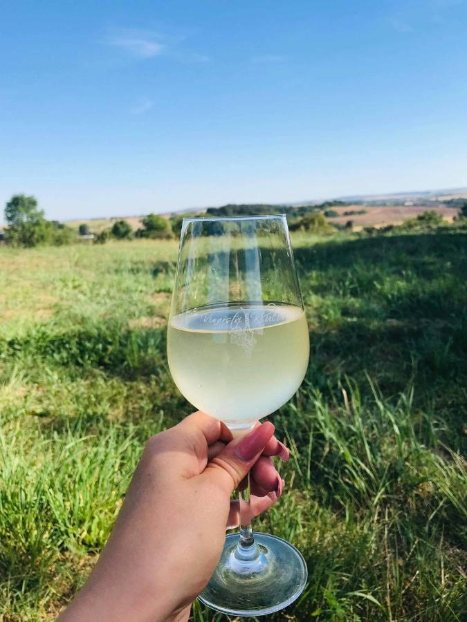 Apartmány Vinařství Klučov Lstibor Exterior foto